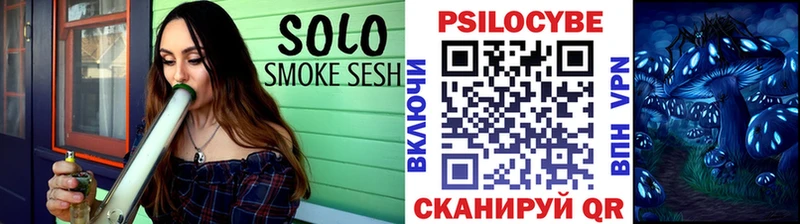 Псилоцибиновые грибы Psilocybine cubensis  Горячеводский 